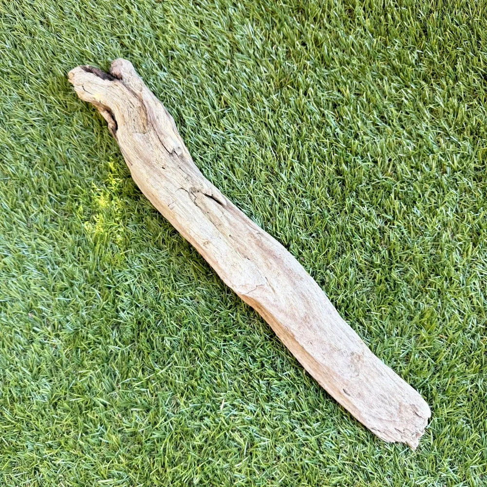2 Natural Driftwood Pieces California Coast Rustic Beach Decor Aquarium Art